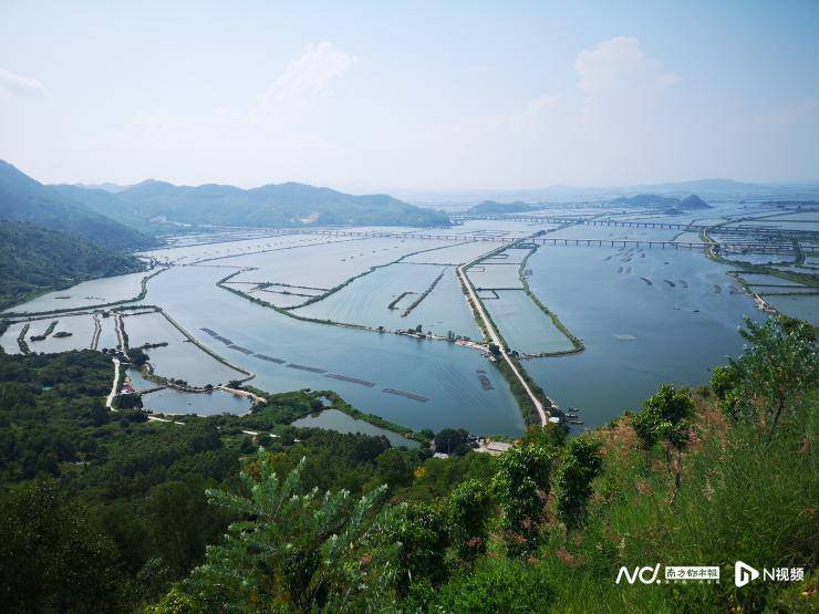 发挥专业优势助力乡村振兴<strong></p>
<p>期货教学</strong>，国信证券获多个社会责任奖项