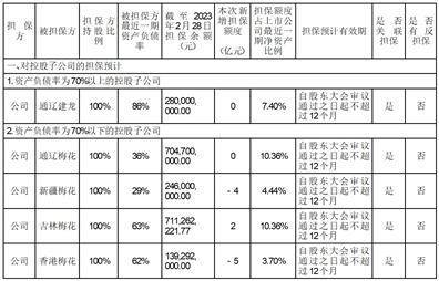 梅花生物科技集团股份有限公司2022年度报告摘要