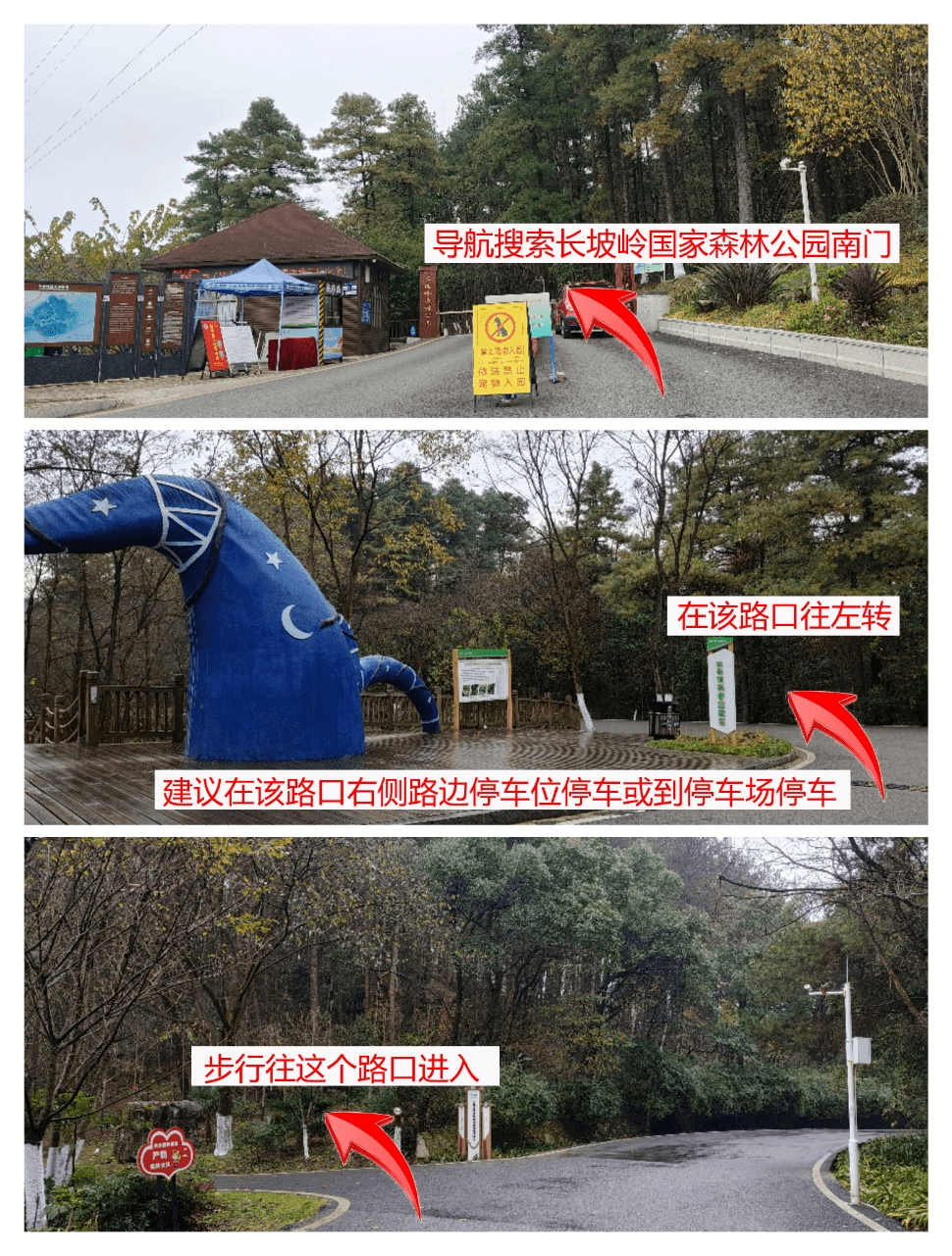 贵阳长坡岭国家级森林公园自然教育基地“旦愿美好●瑞龙纳福”自然教育公益活动招募啦<strong></p>
<p>瑞龙期货</strong>！