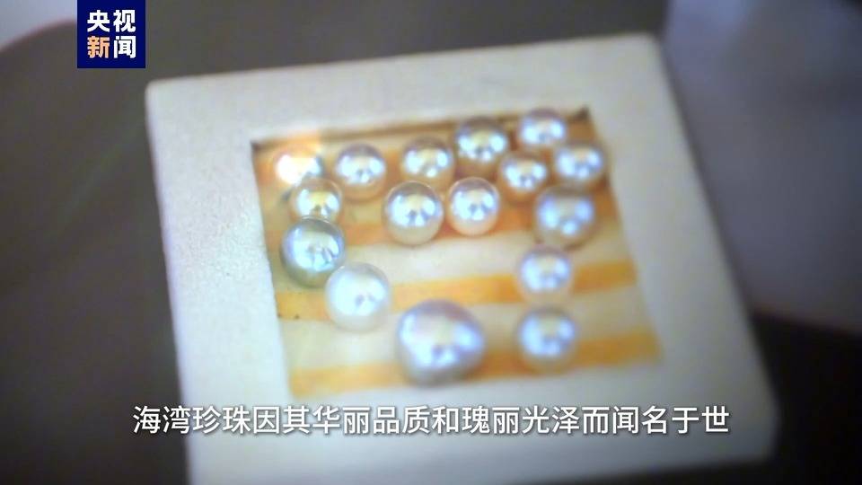 沉睡的珍宝 探秘阿拉伯传统采珠业
