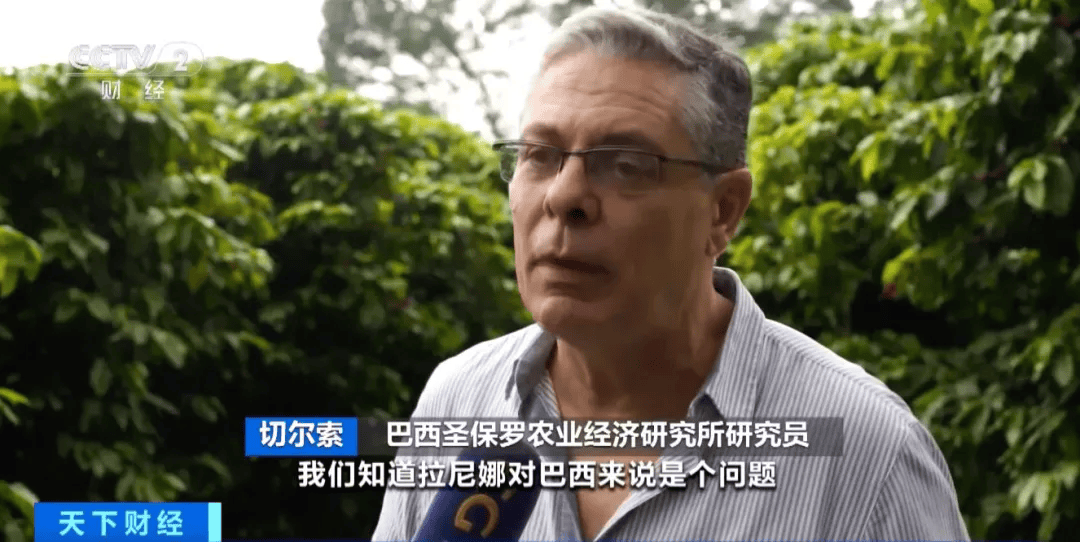 巴西咖啡豆期价走高<strong></p>
<p>巴西</strong>，巴西从业者期待增收