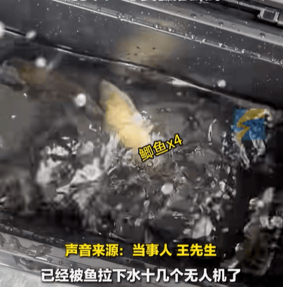男子在家操控无人机钓鱼<strong></p>
<p>以太坊技术</strong>，当天就钓上十几条，当事人：不要轻易尝试，已被鱼拉下水十几个无人机