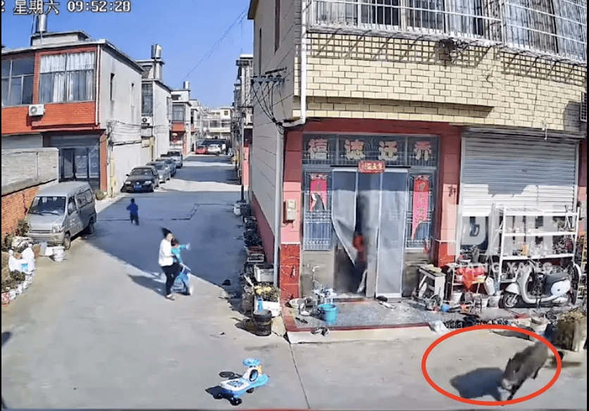街头横冲直闯<strong></p>
<p>矿机以太坊</strong>，抱娃女子被撞伤，警方：已被特警击毙