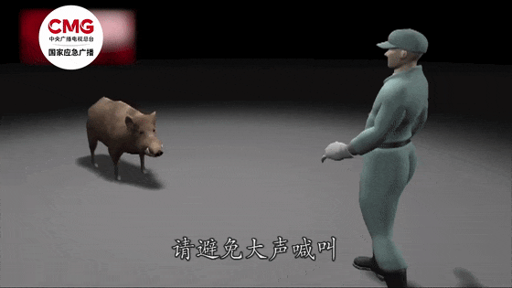 街头横冲直闯<strong></p>
<p>矿机以太坊</strong>，抱娃女子被撞伤，警方：已被特警击毙