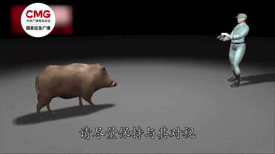 街头横冲直闯<strong></p>
<p>矿机以太坊</strong>，抱娃女子被撞伤，警方：已被特警击毙