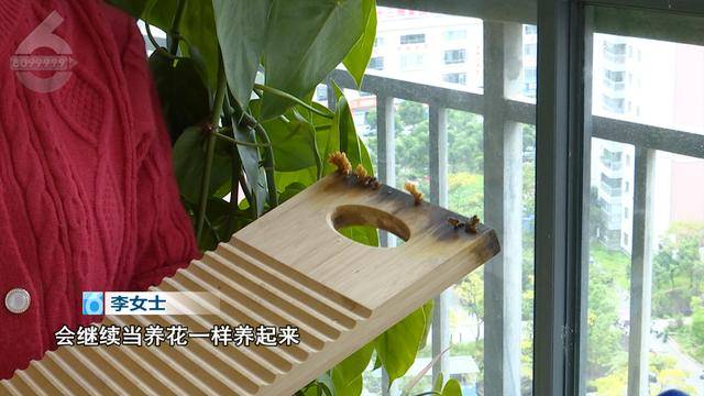 “可以蒸蛋”！昆明一女子家中搓衣板上长菌<strong></p>
<p>以太坊社区</strong>，品种竟是……