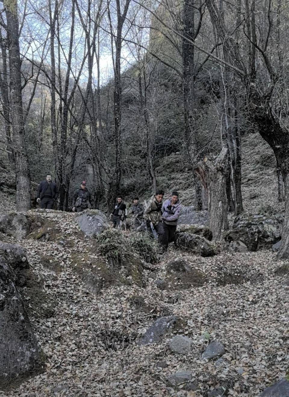 揭秘“野猪猎捕队”丨海拔3000米高山密林<strong></p>
<p>eth走势</strong>，记者跟队直击猎捕野猪全过程
