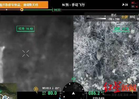 揭秘“野猪猎捕队”丨海拔3000米高山密林<strong></p>
<p>eth走势</strong>，记者跟队直击猎捕野猪全过程