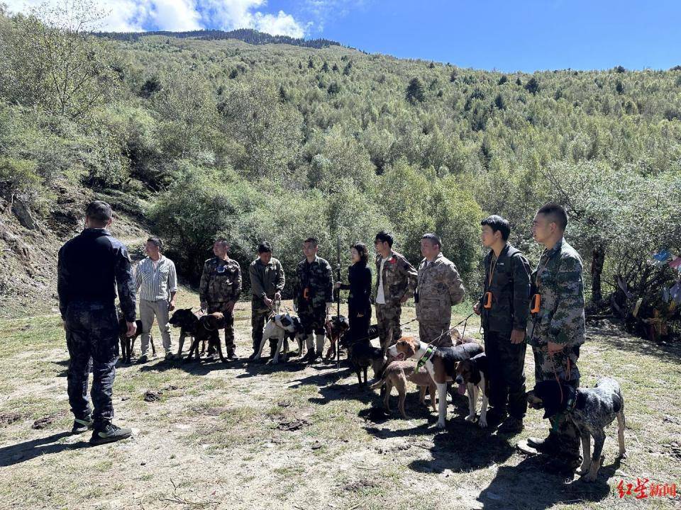揭秘“野猪猎捕队”丨海拔3000米高山密林<strong></p>
<p>eth走势</strong>，记者跟队直击猎捕野猪全过程