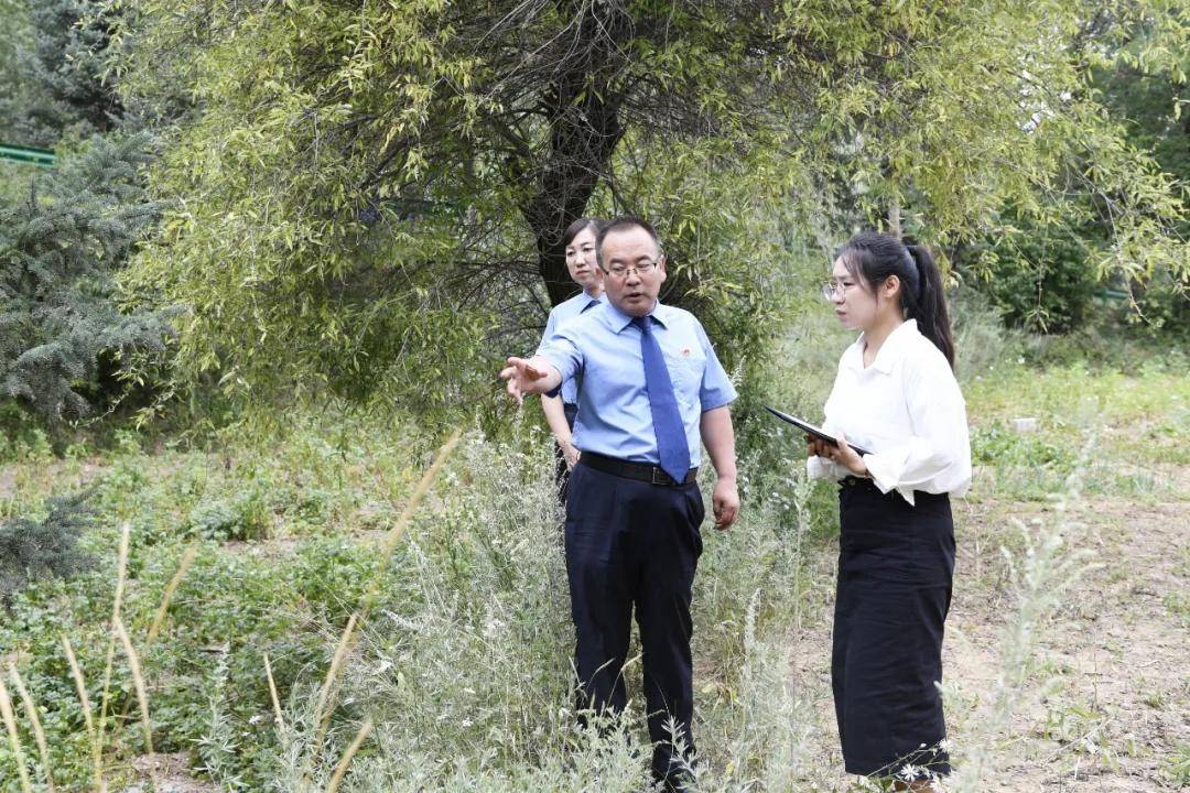 还有8天刑满释放<strong></p>
<p>eth官网</strong>，十年有期徒刑变为死缓，最高检抗诉的甘肃马某林案获改判