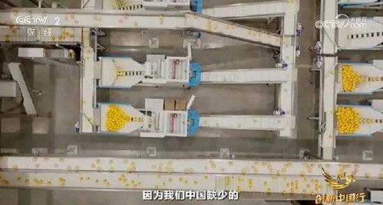 2024年末央视再度专访钟睒睒<strong></p>
<p>比特币</strong>，背后有何深意？