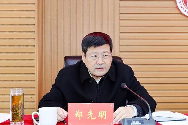 郑先明<strong></p>
<p>比特币美元</strong>，主动投案