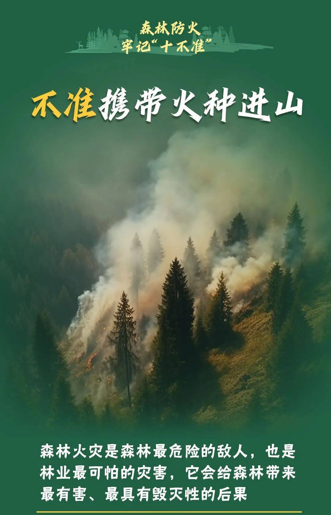 已致4名消防员遇难<strong></p>
<p>比特币现金</strong>！多地进入“灾难状态”