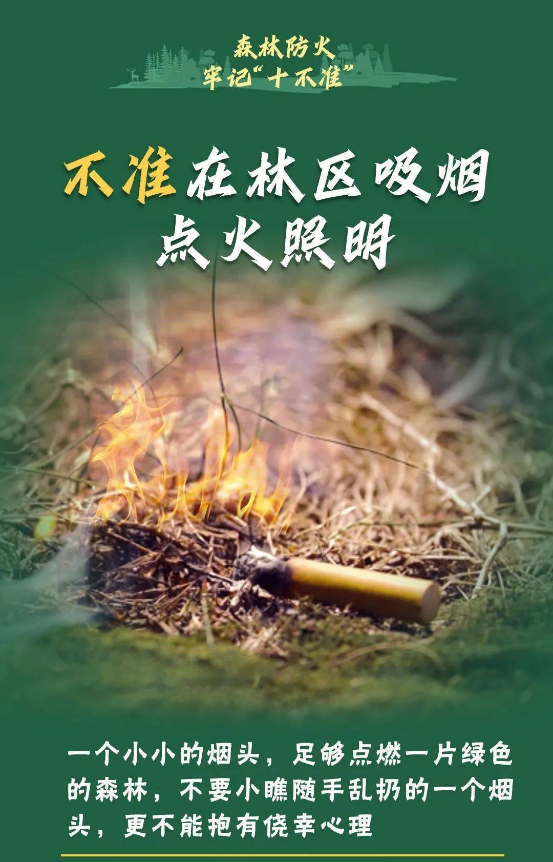 已致4名消防员遇难<strong></p>
<p>比特币现金</strong>！多地进入“灾难状态”