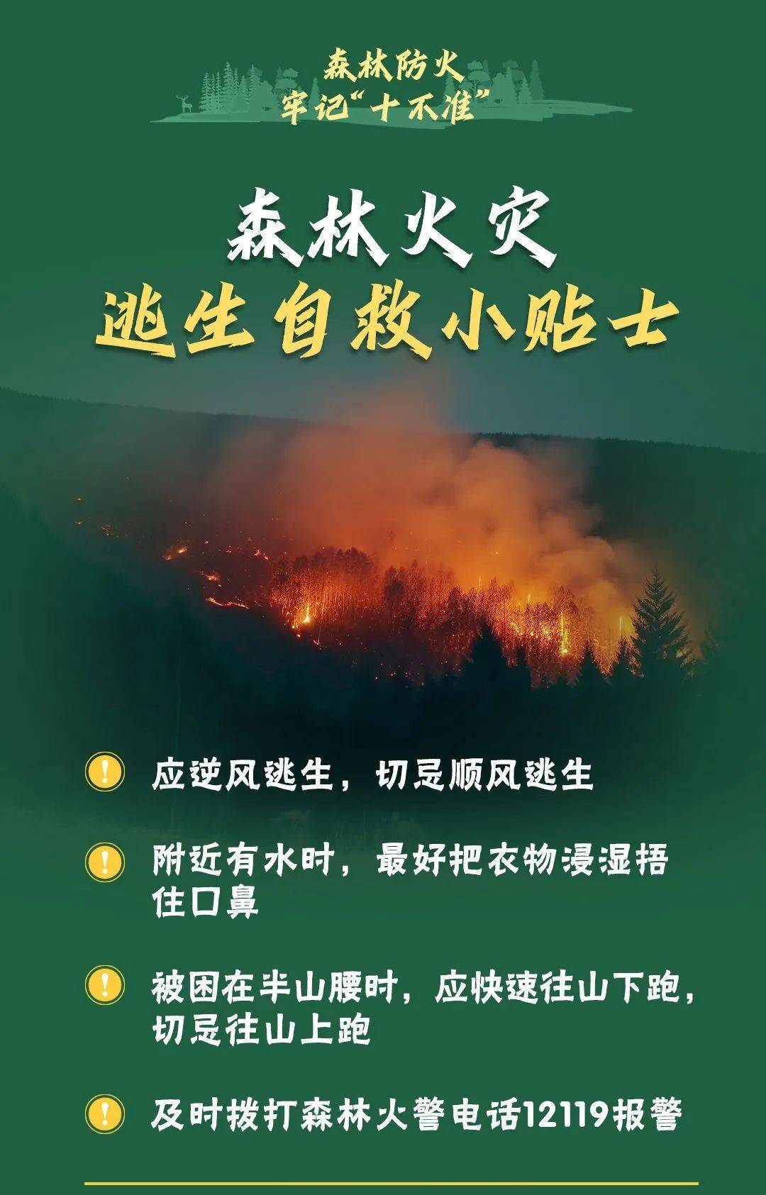 已致4名消防员遇难<strong></p>
<p>比特币现金</strong>！多地进入“灾难状态”