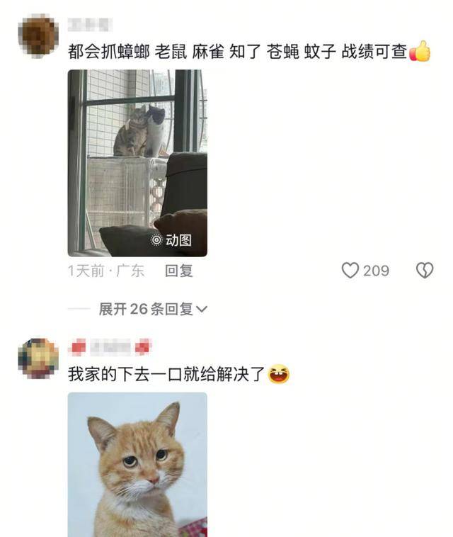 老鼠掉进泳池<strong></p>
<p>比特币交易网</strong>，广东大叔出动鸡猫狗团队，结果全被老鼠吓跑！网友坐不住纷纷晒战绩