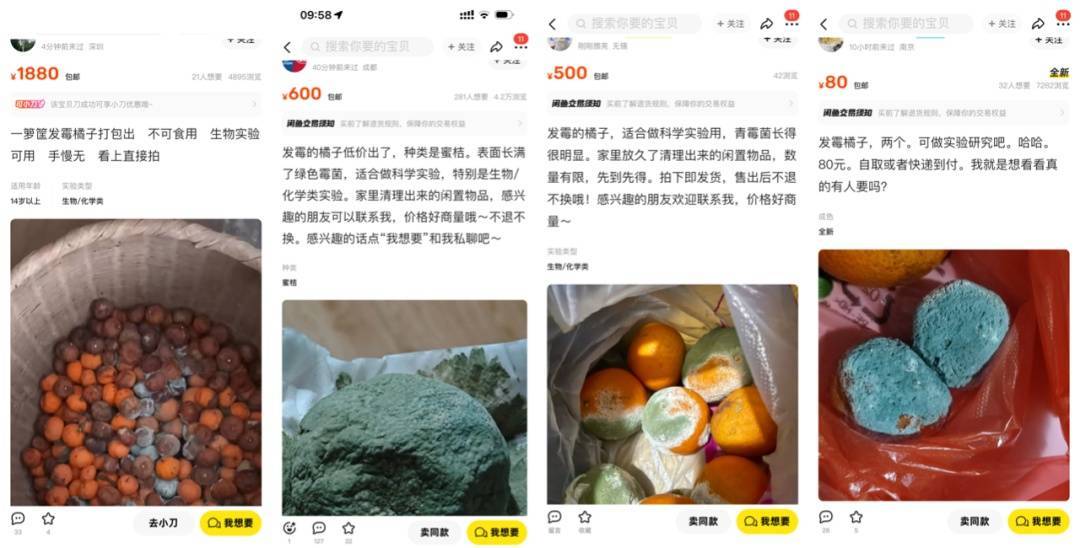 突然火了<strong></p>
<p>比特币交易网站</strong>！有人卖500元一个！网友：后悔扔了……