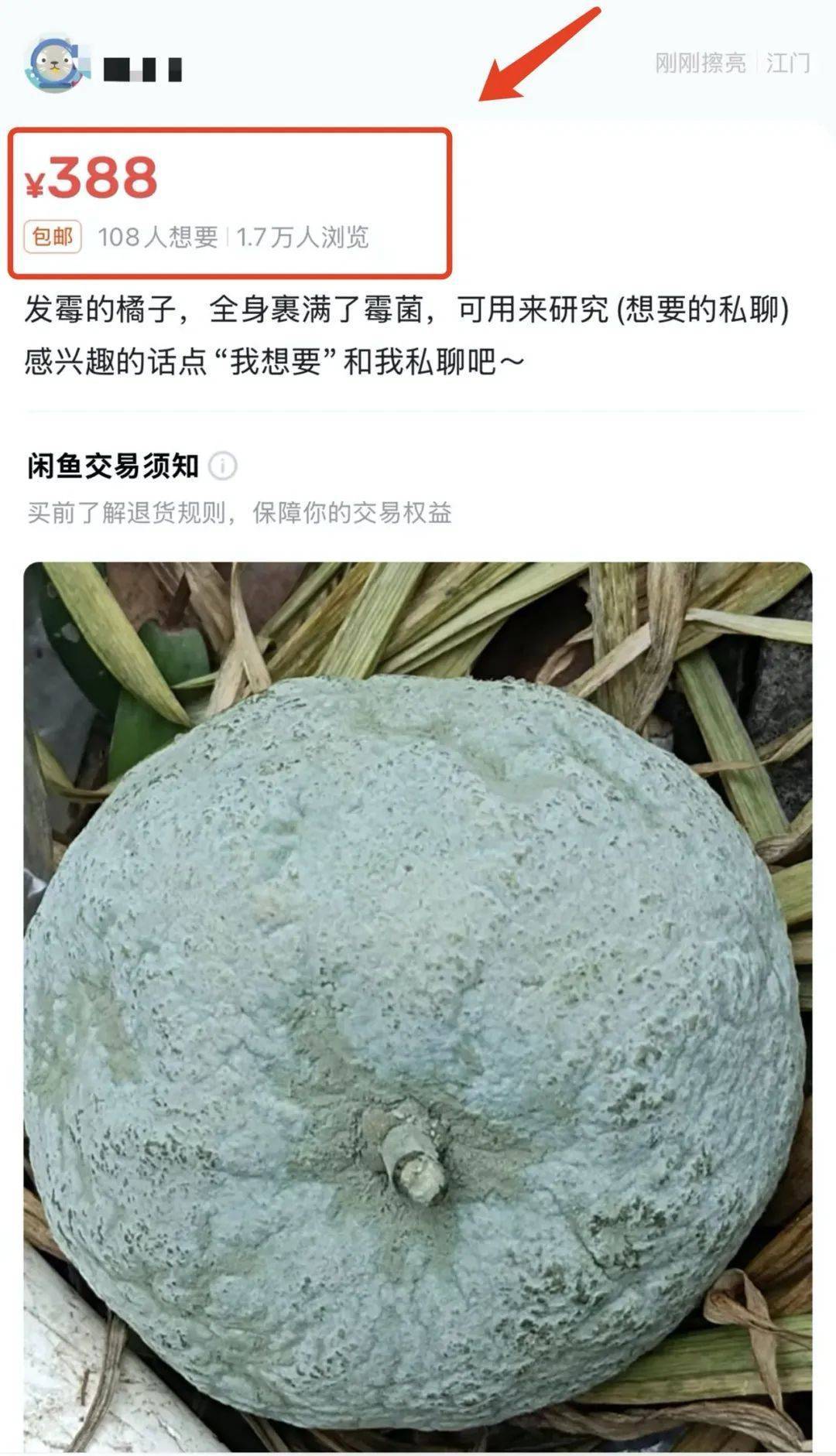 突然火了<strong></p>
<p>比特币交易网站</strong>！有人卖500元一个！网友：后悔扔了……