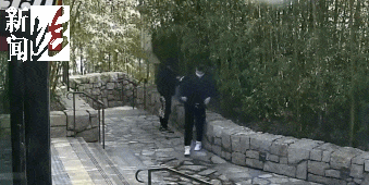 太猖狂！事发上海迪士尼<strong></p>
<p>比特币期货</strong>，7人被刑拘