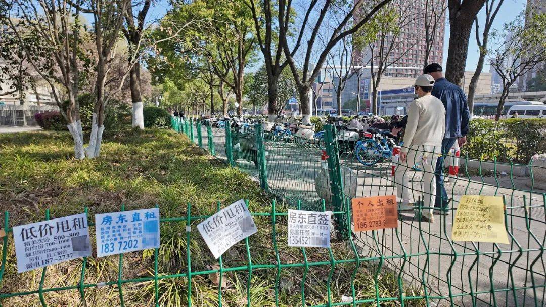 一二线城市房租普降<strong></p>
<p>比特币期货</strong>，房东主动降200留我