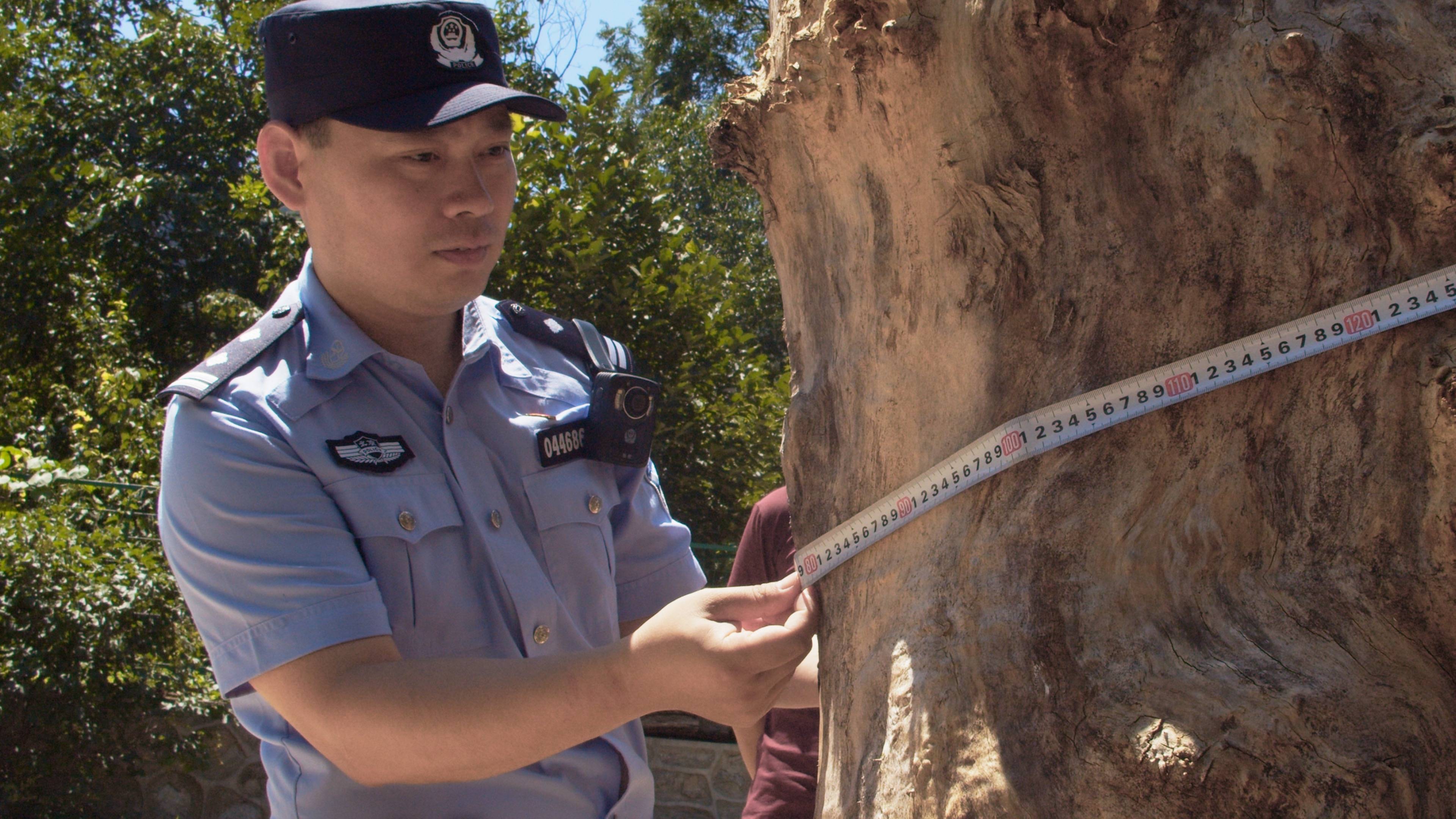 森林警察韩孟祺：乔装成驴友潜伏密林中<strong></p>
<p>比特币挖矿机</strong>，抓获“粘鸟”嫌疑人