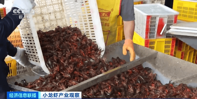 价格暴跌近50%<strong></p>
<p>比特币概念股</strong>！“接下来还会降”！青岛正大量上市……