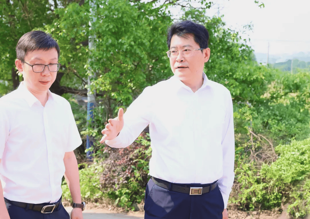 央视曝光后<strong></p>
<p>挖比特币</strong>，萍乡市委书记实地督导垃圾专项整治
