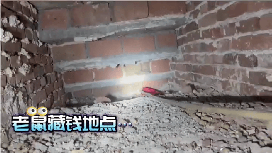 老人用红袜子包裹一万元现金藏在门框上<strong></p>
<p>挖比特币</strong>，一天后不翼而飞，警方破案：偷钱的是老鼠