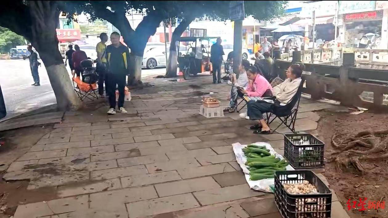 “天价”鸡枞调查：最贵卖到1800元/公斤！雨水少致产量低<strong></p>
<p>比特币行情实时走势图</strong>，多地价高客少