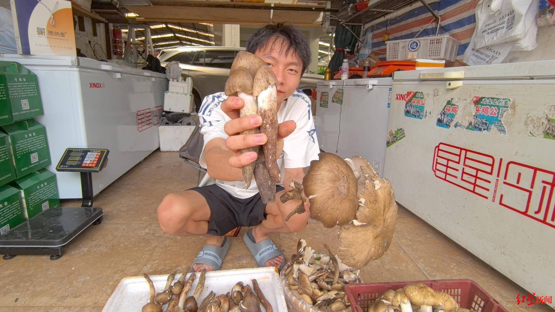 “天价”鸡枞调查：最贵卖到1800元/公斤！雨水少致产量低<strong></p>
<p>比特币行情实时走势图</strong>，多地价高客少