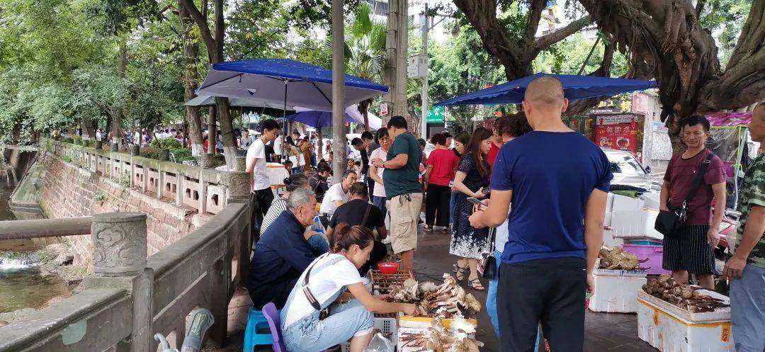 “天价”鸡枞调查：最贵卖到1800元/公斤！雨水少致产量低<strong></p>
<p>比特币行情实时走势图</strong>，多地价高客少