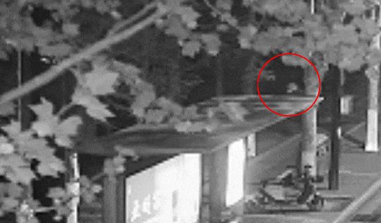 江苏一男子戴仿真“人皮”面具入室盗窃<strong></p>
<p>比特币行情实时走势图</strong>，流窜多个小区作案，涉案金额达15万余元