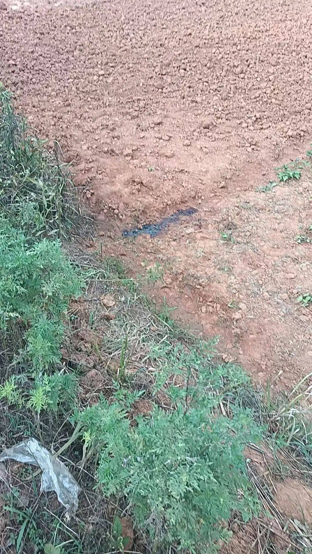 工人被误当猎物枪击身亡<strong></p>
<p>狗币价格</strong>，警方通报：屈某某、罗某某被刑拘
