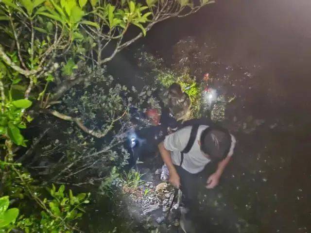 每人罚款5000元<strong></p>
<p>狗狗币今日最新价格</strong>！深圳开出全国首张罚单