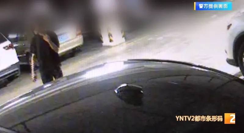 凌晨怪事！男子提着茅台袋子在车库<strong></p>
<p>狗狗币今日最新价格</strong>，翻垃圾桶竟为了.....