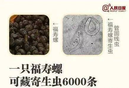 别吃！寄生虫多达6000条！浙江一地大量出现<strong></p>
<p>狗币今日价格</strong>，看到立刻上报