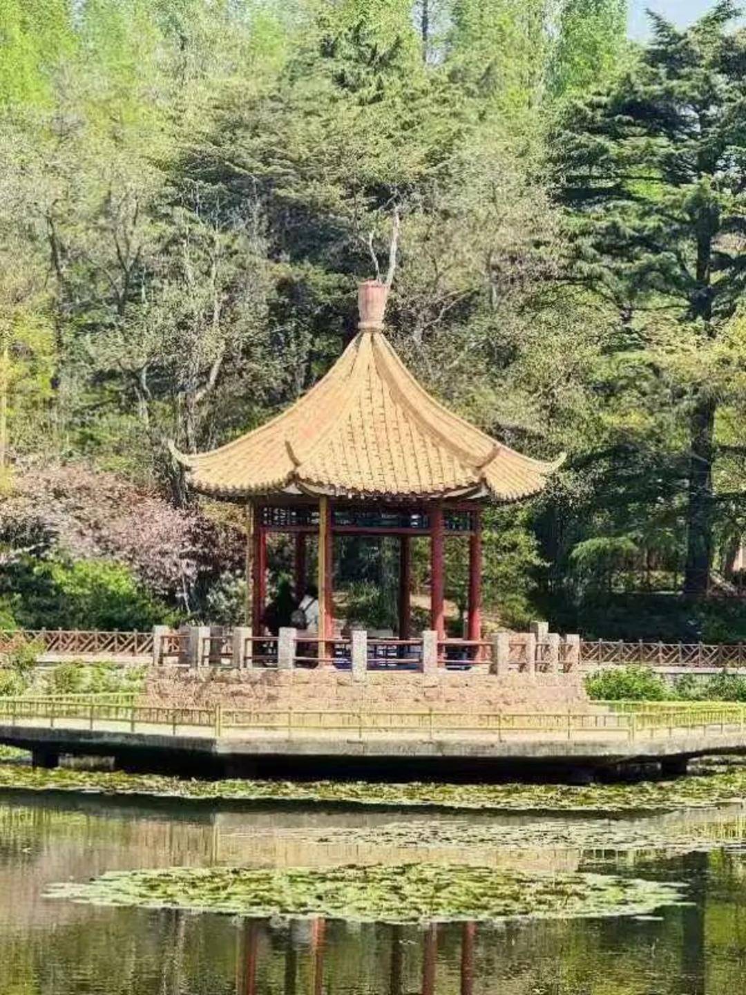 青岛中山公园一凉亭突然倒塌：一年前刚完成修缮<strong></p>
<p>狗狗币价格</strong>，园方称无伤亡原因待查