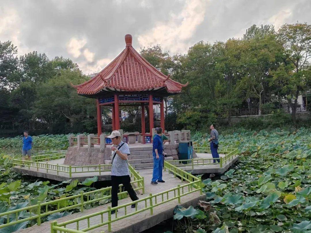 青岛中山公园一凉亭突然倒塌：一年前刚完成修缮<strong></p>
<p>狗狗币价格</strong>，园方称无伤亡原因待查