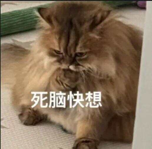 79岁老伯为见其相亲对象“翠花”<strong></p>
<p>狗狗币价格</strong>，将身份证改小10岁 被发现后不忘叮嘱民警“能不能不告诉她”