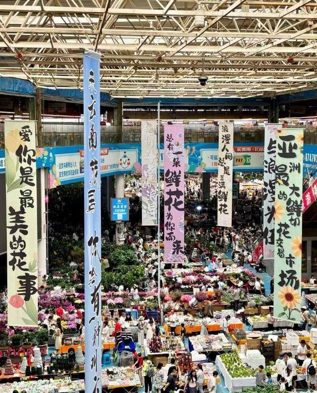 七夕不送玫瑰改送花菜<strong></p>
<p>狗狗币行情</strong>！这一届年轻人“反套路”重新定义浪漫