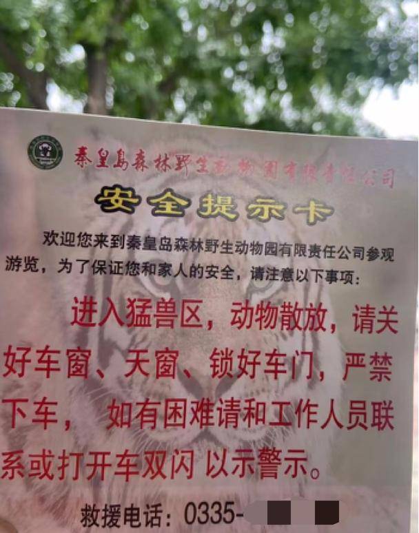 惊险！野生动物园内<strong></p>
<p>狗狗币实时行情</strong>，两车剐蹭，车主下车沟通老虎一旁围观