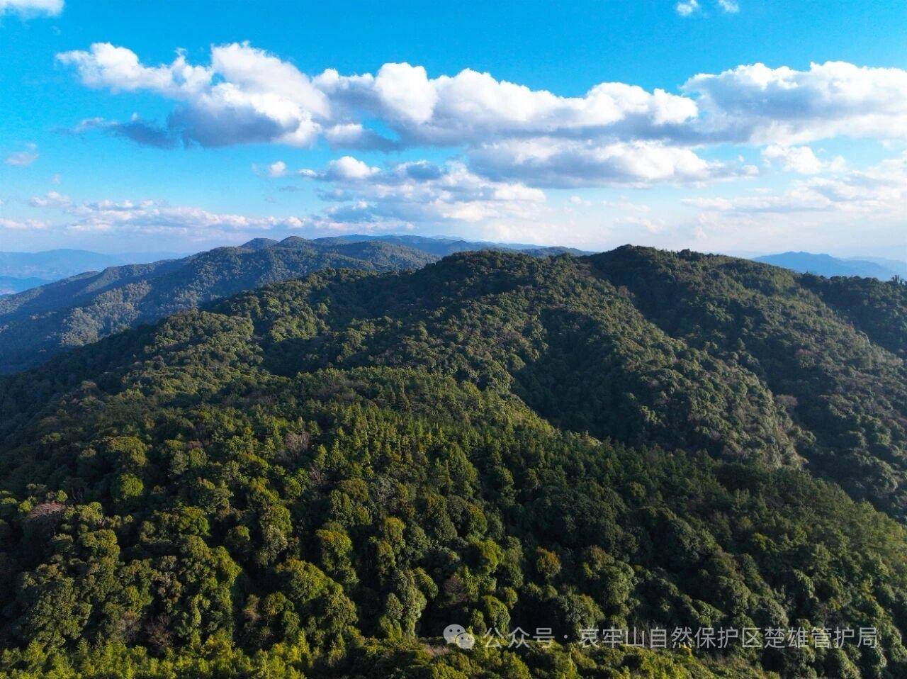 云南哀牢山新规出台：禁止任何单位和个人擅入哀牢山自然保护区<strong></p>
<p>马斯克</strong>，从事科研活动须报批