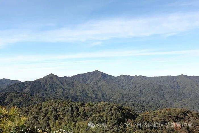 云南哀牢山新规出台：禁止任何单位和个人擅入哀牢山自然保护区<strong></p>
<p>马斯克</strong>，从事科研活动须报批