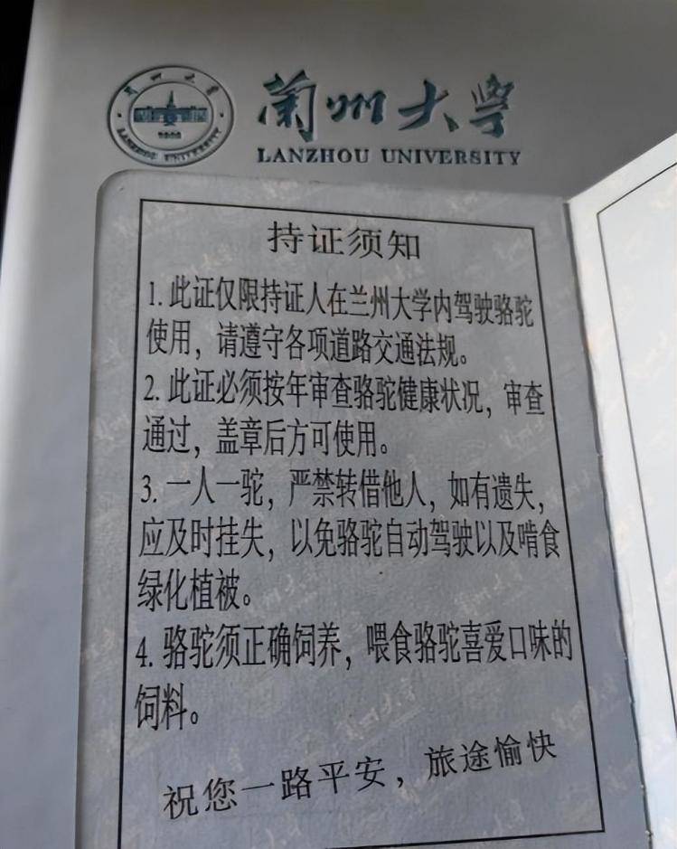 一人一驼<strong></p>
<p>马斯克</strong>，骆驼尾气排放超标要扣分？兰大回应学生持证骑骆驼上学：骆驼驾驶证为学校文创，非官方证件