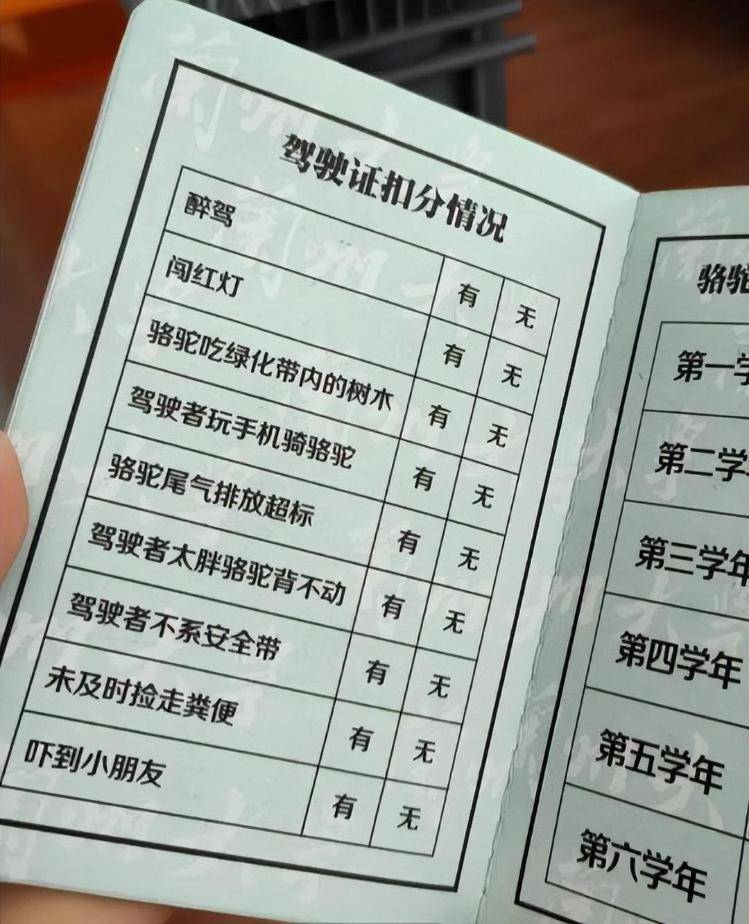 一人一驼<strong></p>
<p>马斯克</strong>，骆驼尾气排放超标要扣分？兰大回应学生持证骑骆驼上学：骆驼驾驶证为学校文创，非官方证件