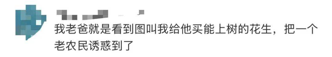 “花生上树”闹剧：AI翻车背后<strong></p>
<p>狗狗币创始人</strong>，我们都在弄丢常识？