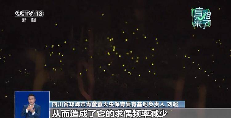 网传萤火虫濒临灭绝<strong></p>
<p>火币官网</strong>，是真的吗？