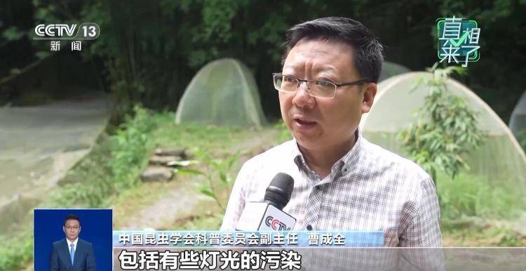网传萤火虫濒临灭绝<strong></p>
<p>火币官网</strong>，是真的吗？