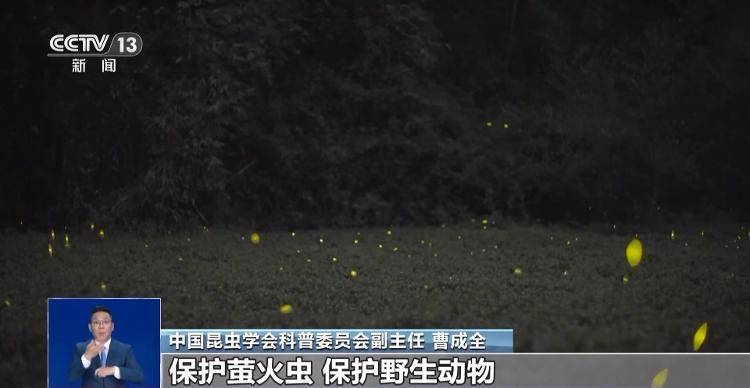 网传萤火虫濒临灭绝<strong></p>
<p>火币官网</strong>，是真的吗？