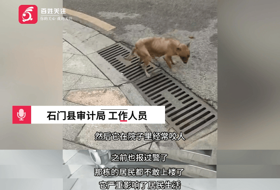 保安称“经常咬人”打死流浪犬<strong></p>
<p>火币钱包</strong>，居民上门讨说法：这个门卫穷凶极恶